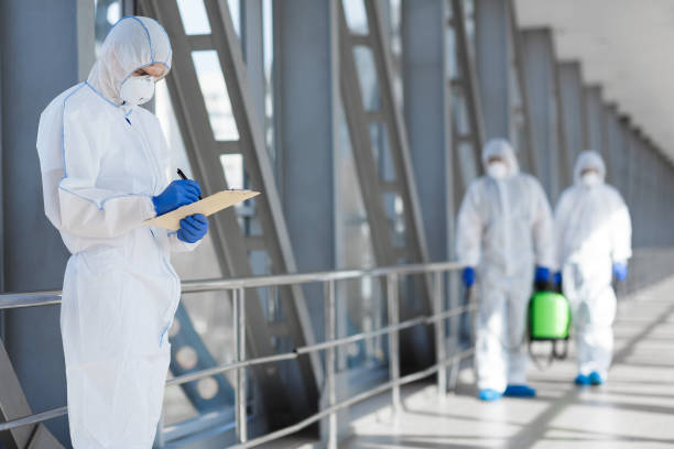 Mold Odor Removal Services in Plainville, KS