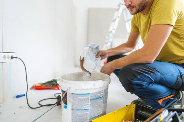 Best Environmental Consulting for Mold Prevention  in Plainville, KS