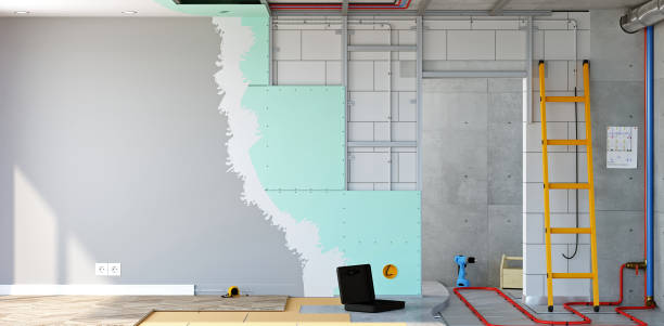 Best Mold Odor Removal Services  in Plainville, KS