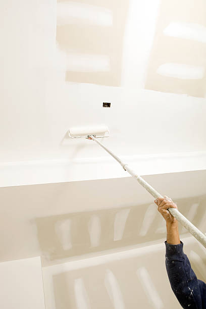 Best Mold Documentation for Insurance Claims  in Plainville, KS
